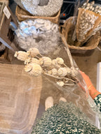 Mohnkapseln beige