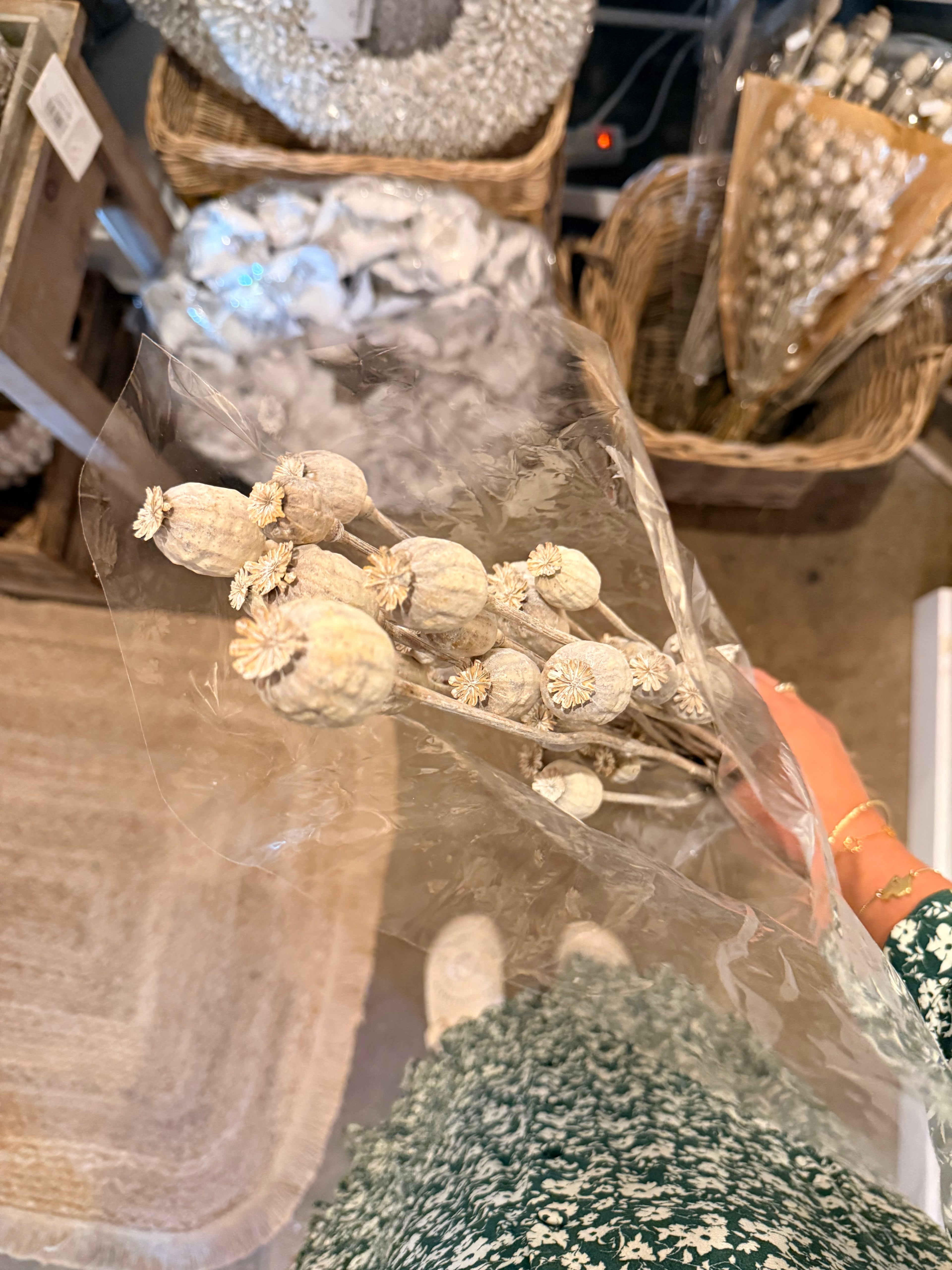 Mohnkapseln beige
