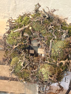 Bonsai Moos Kranz rustikal