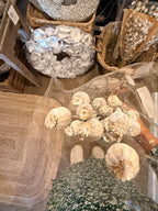 Mohnkapseln beige