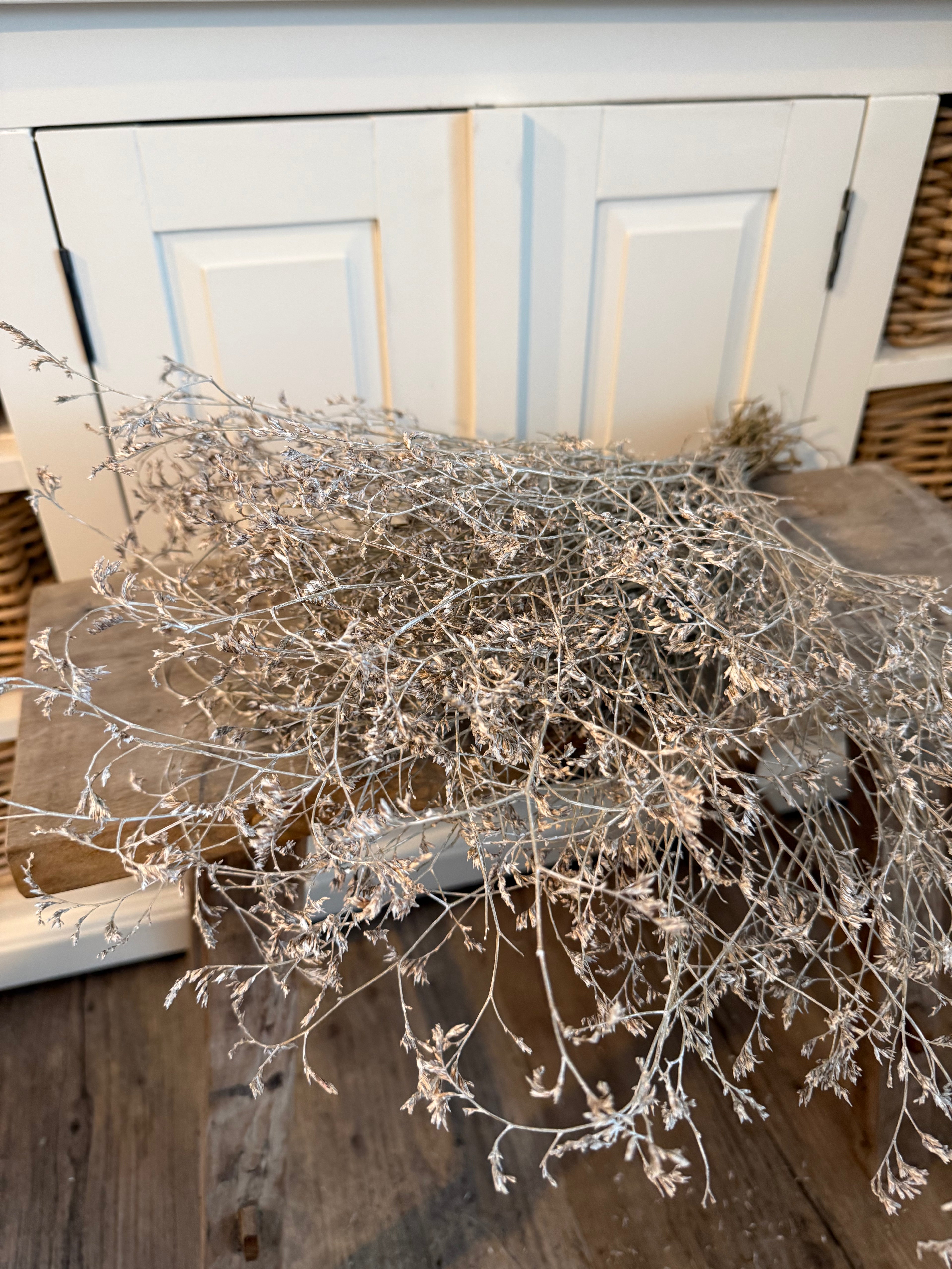 Getrockneter Limonium