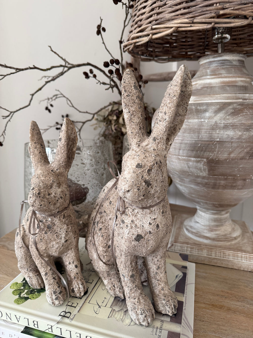 Hase groß