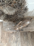 Nostalgischer Hase