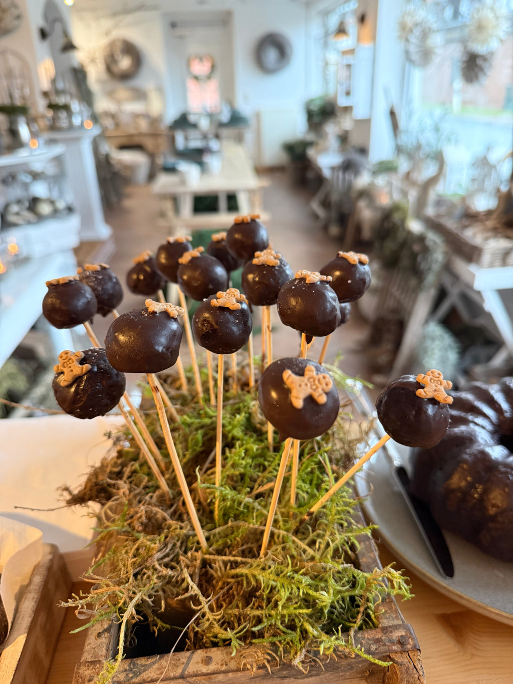 Workshop: Kranz binden Adventskränze