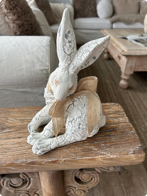 Hase