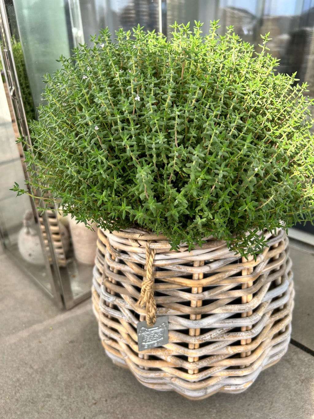 Rattankorb