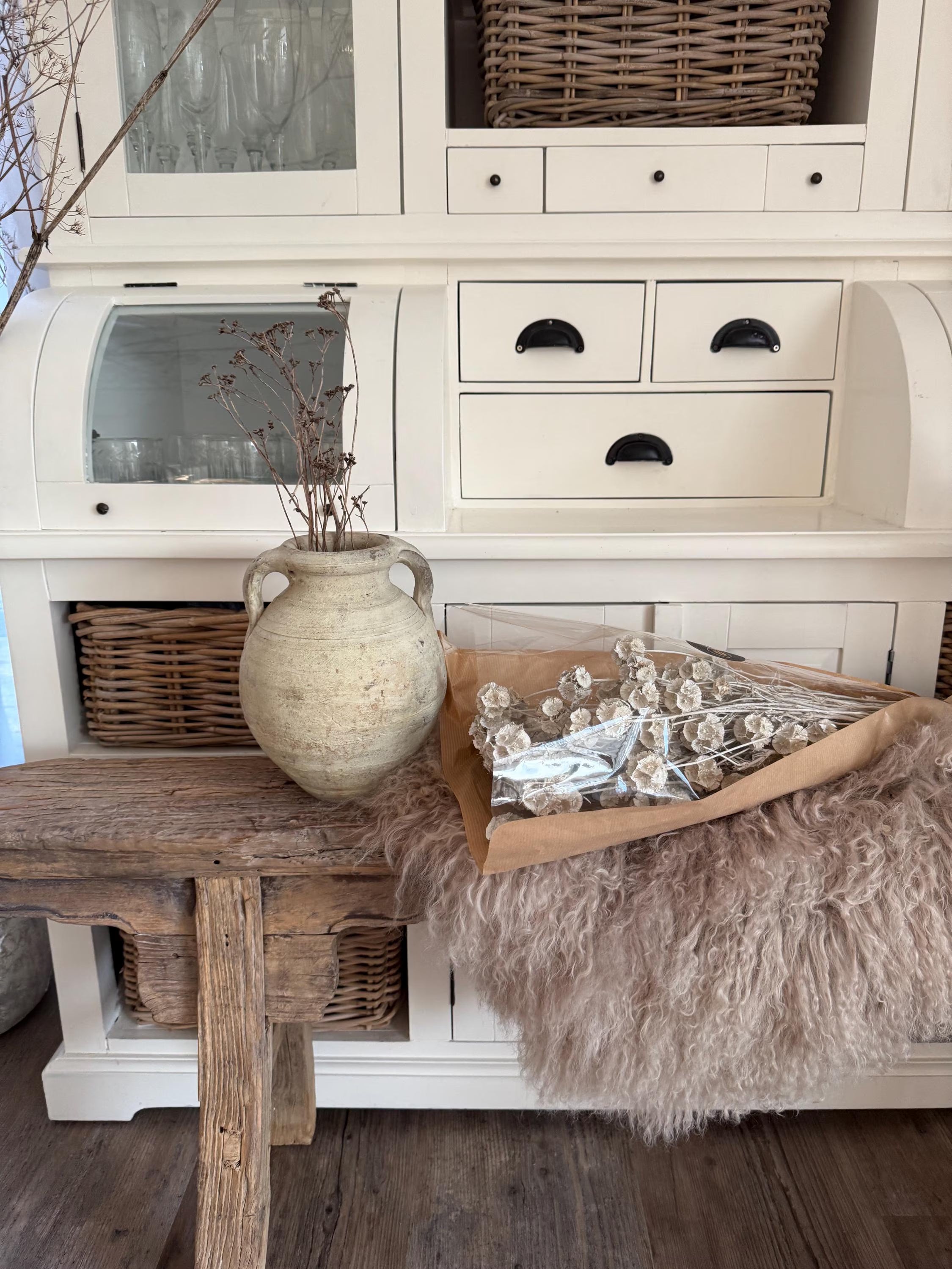 Getrocknete Scabiosa