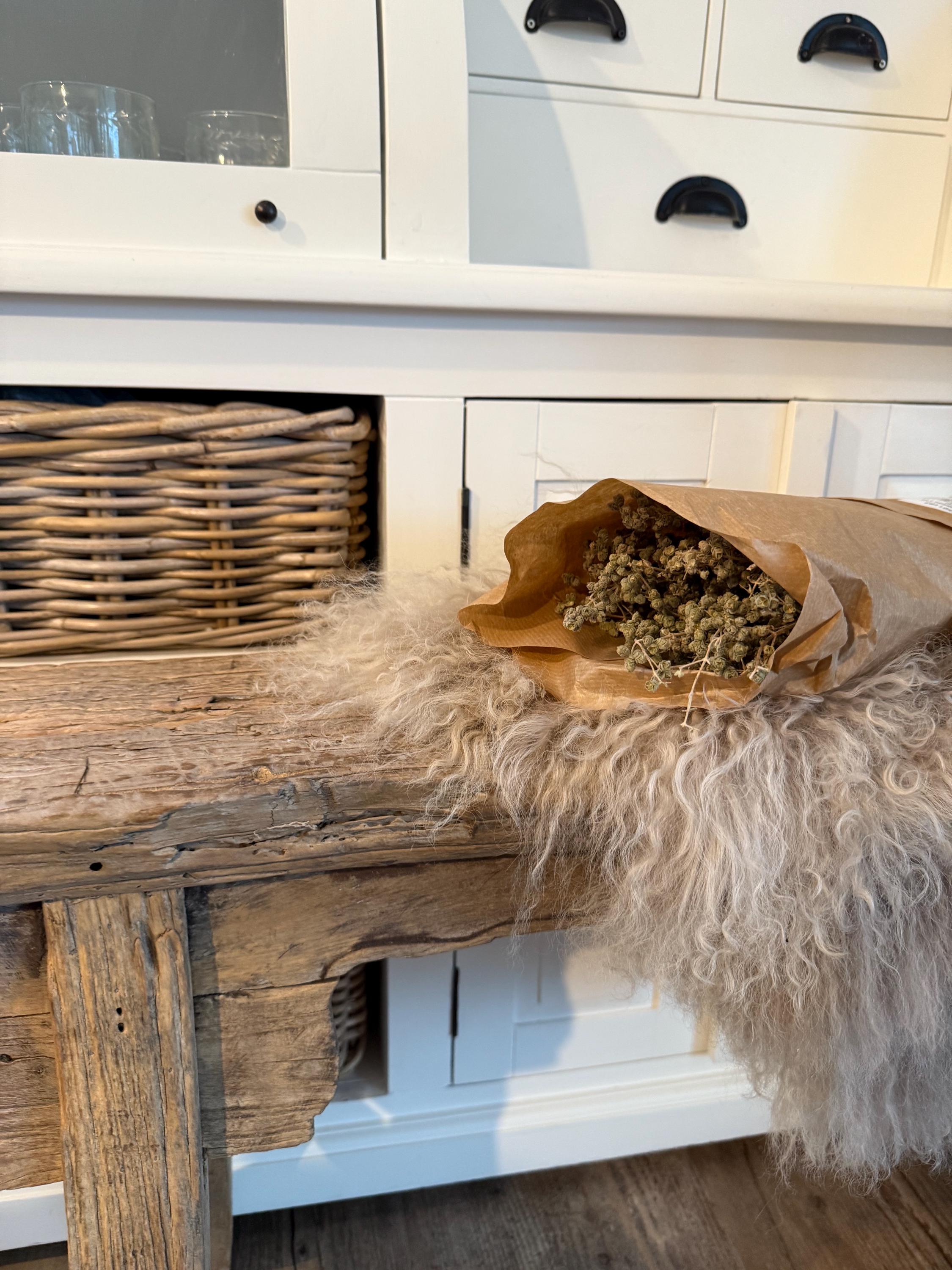 Getrockneter Oregano